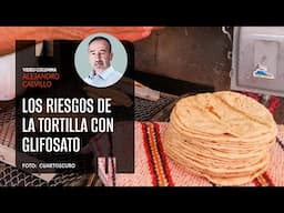 Los riesgos de la tortilla con glifosato. Por Alejandro Calvillo