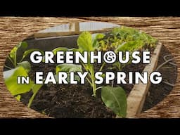Full Greenhouse in Early Spring