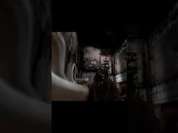 What's my Cat doing in Silent Hill?!