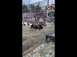 Dam Alex Gonga Que locura 🔥 #scootering #aosv6