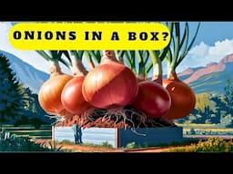 The Best Raised Beds for Growing Onions