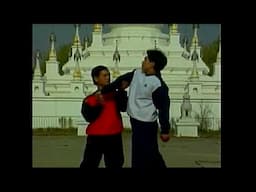 Kungfu Qinna Joint Lock Techniques (Small Joint Manipulations)