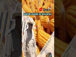 Prabowo, Ekspor Perdana Jagung Ke Malasyia 1.200 Ton.