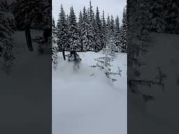 Ski’s in the air.