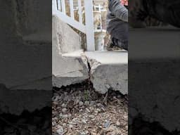 Oddly satisfying concrete lift
