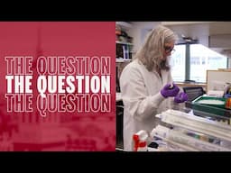 How do innovations move from the lab into the market? | The Question