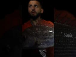 Unexpected Gift = Snapper Goldmine!