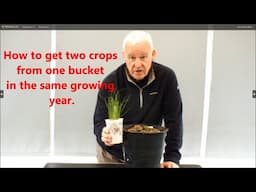 How to grow potatoes then leeks.  Crop rotation in a bucket.