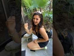 look how cute this lil baby anole is I caught in Florida! 💚🦎 #shorts #florida #travel #animals