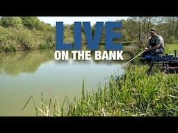 LIVE On The Bank with Andy May | Birch House