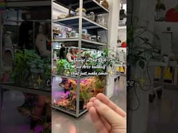 Have you toured our #FineArts department? #artschool #artcollege #schoolofvisualarts #svanyc #sva