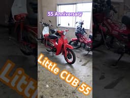 Little cub 55 Anniversary RED
