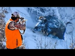 Hunting Giant Snow Monsters: 35 Perfect Wild Boar Shots!