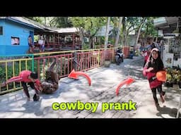 Funny video 2025 try not to laugh extreme.
