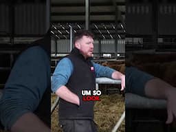 What is a good alternative to save straw on farm? #farm #straw #agriculture #bedding