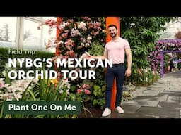 NYBG Mexican Modernism Orchid Show — Ep. 414