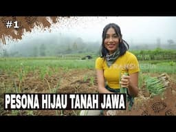 PESONA HIJAU TANAH JAWA | JEJAK PETUALANG (24/04/25) Part 1