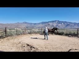 Roping Gus