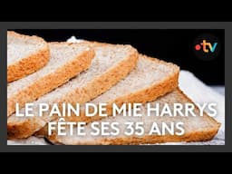 L'entreprise Harrys Barilla fête ses 35 ans