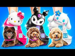 Thử thách nhà một màu dành cho cún! Hello Kitty vs Kuromi vs Cinnamoroll!