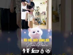 Thất bại trong chuẩn bị là chuẩn bị cho thất bại #shorts #relaxing #funny