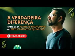 A verdadeira diferença entre usar Plantas Medicinais ou Medicamentos Químicos!