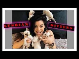 LESBIAN Content To KITTENS (LIFE UPDATE)