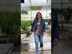 Happiness is apparently in a greenhouse 🤗 #shorts #greenhouse #gardencenter #flowers #gardening