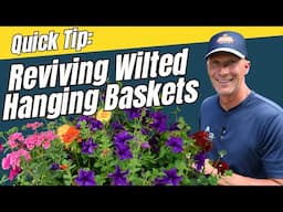 Reviving Wilted Hanging Baskets: Expert Tips and Tricks