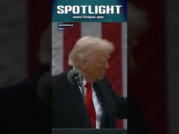 Trump Tariffs Choke China's Factories | Firstpost Spotlight | N18G
