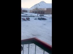 Man Narrowly Escapes Polar Bear