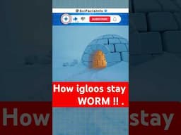 How Do Igloos Keep You Warm at -40 Degrees?