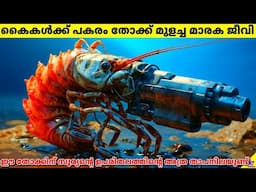 This Strange Animal Has A Built-In Gun And It's Hotter Than the Sun | 47 ARENA