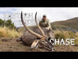 Eastern Cape Chase |SUN AFRICA SAFARIS