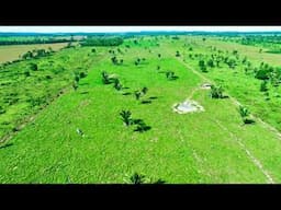 Sitio dona Meridiana Senhor Daniel