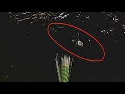 MEU MAIOR PEIXE na TARRAFA - PESCARIA de TARRAFA na BARRA!