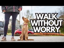 Tips For Successful Leash Training in An Unpredictable World