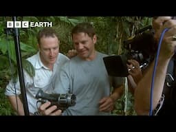 Hungry Caiman Caught On Camera | Deadly 60 | BBC Earth Kids