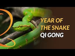 7-Min Year of the Snake Qi Gong Routine | Energy Flow for Renewal & Growth