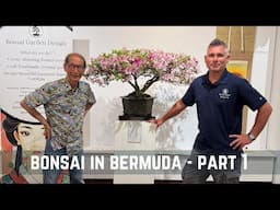 Bonsai in Bermuda - Part 1