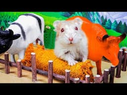 Hamster Discovers the Secrets of the Farm! | Hamster Maze