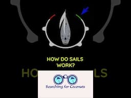 How Do Sails Work? | Sailing Basics Explained for Beginners