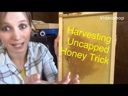 Harvesting uncapped honey, Honey Moisture Test, Can you harvest uncapped honey, Backyard Bee Builder