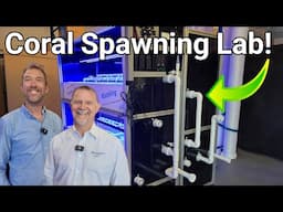 The Latest Coral Spawning Technology from Dr Jamie Craggs