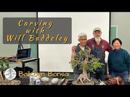 Will Baddeley - Carving Demonstration - March 2025 - Club Meeting - Baikoen Bonsai ClubBaikoen