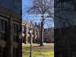 A week in the life of a long-distance PhD student ✨🎓🍃