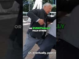 Single Whip Is Not What You Think – Real Tai Chi Application