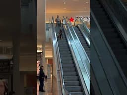 Amazing Dog training in a busy mall 🐕‍🦺 #dogtraining #viralshort #dogshorts