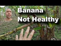 First Avocado Vegan Camp Update April 2025