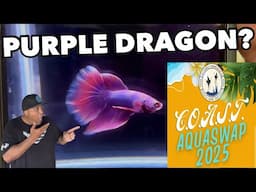 Aquaswap 2025 Super Rare Purple Dragon!